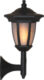 Solární lampa Flame 4 v 1 černá, Star Trading  (ST480-07)