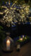 Venkovní dekorace ohňostroj Firework průměr 40 cm, 80 LED, Star Trading  (ST710-12)