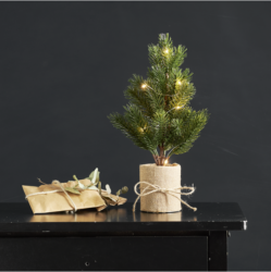Vánoční stromek Bodal 8 LED, Star Trading - Uml vnon stromek 35 cm vysok s LED osvtlenm a ozdobnm podstavcem.
Provoz na baterie s funkc asovae. Pro vnitn pouit. 

Stromeek zdob svteln etzek DEW DROP - kapka rosy.